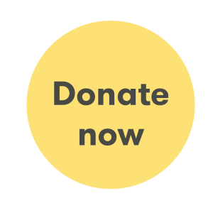A donate now button